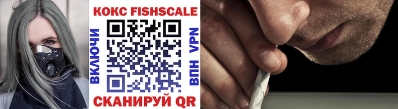 купить наркотики цена  Барыш  Cocaine FishScale 